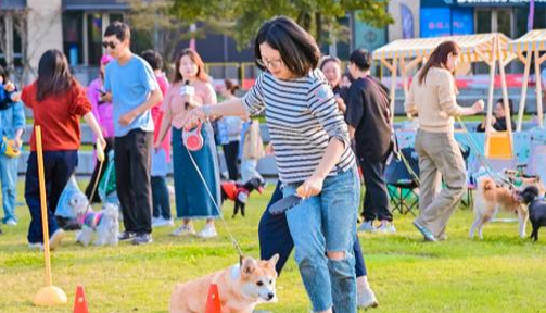 放大“陪伴”价值，宠物经济如何激发全链条创新