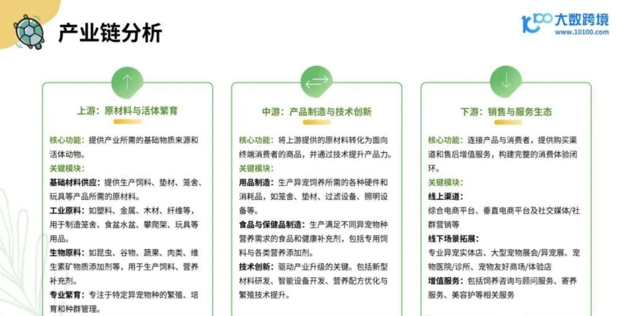 从消费人群到品牌，2025年小宠异宠用品市场浅析