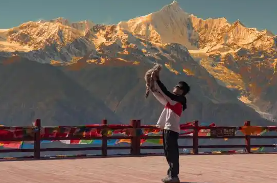 宠物友好型场景花式“上新”携宠出游成新风潮