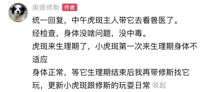 虎斑犬觉得自己快死了挖坑躺了进去，医生却说只是来大姨妈痛经而已