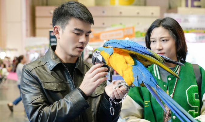 第九届中原宠物展郑州开幕 800余家品牌齐聚中原