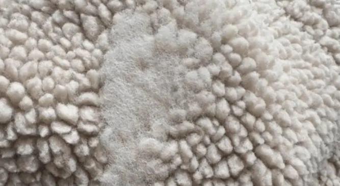 小姐姐家的小猫半夜不睡觉，把摇粒绒外套舔直了