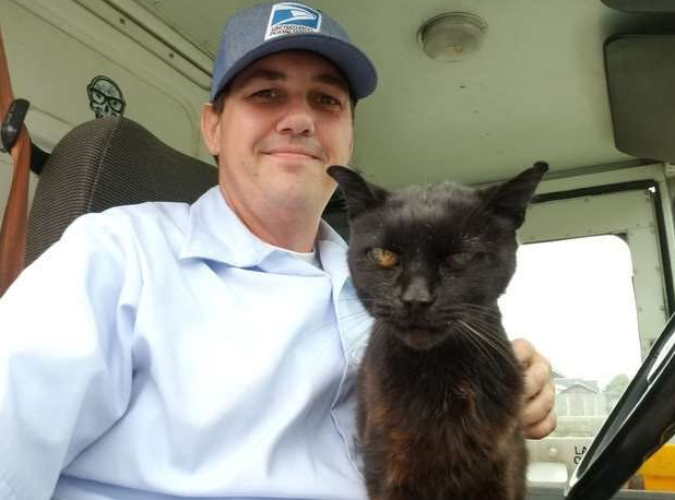 亲人黑猫超爱快递员，没抱抱摸摸不准走人！