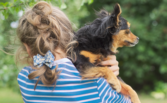 英国研究：养宠物价值等同于年薪7万英镑