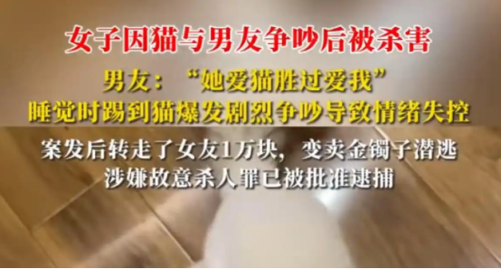 上海情侣因猫争执酿悲剧，女子被害男友涉杀人被批捕