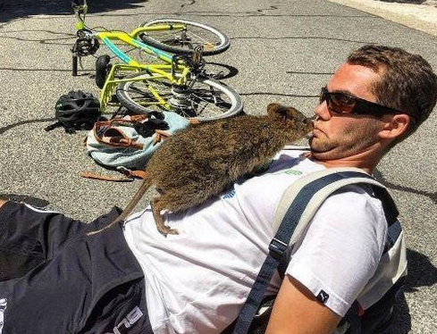 男子骑车发现被跟踪，停下来就被小可爱扑过来攻击 