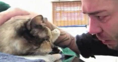 主人与猫分别几年，再相遇却是最后一次见面，猫咪的反应令人泪目 