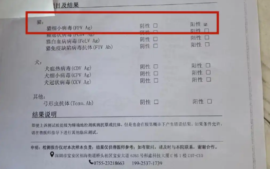 刚买不久的猫检出猫瘟换猫后仍不满意，宠物店：只换不退