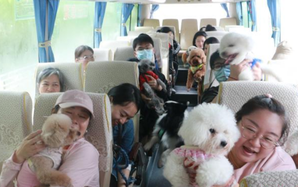 携宠出游成时尚 “人宠和谐”引关注