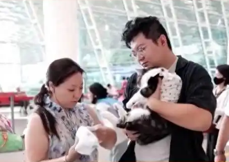 宠物经济的爆发：新趋势与智能体验