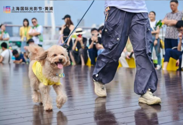 黄浦滨江，汪汪队登场！