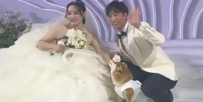 网红小狗被下毒身亡，主人哭的撕心裂肺，账号失去更新方向