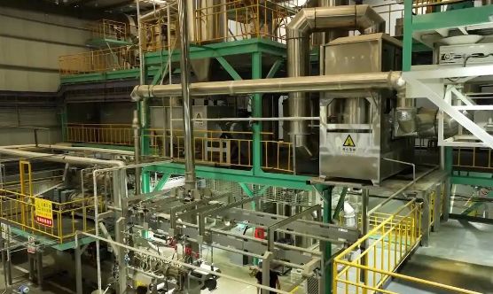 单线年产6亿，第二条年底投产！济南莱芜宠物食品企业跑出“加速度”