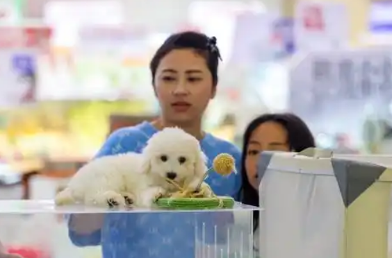 创新消费场景 宠物经济热潮涌动