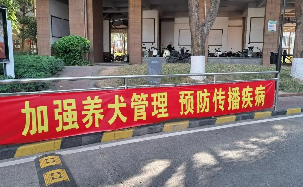 东莞一小区宠物狗多次伤人事件引发争议