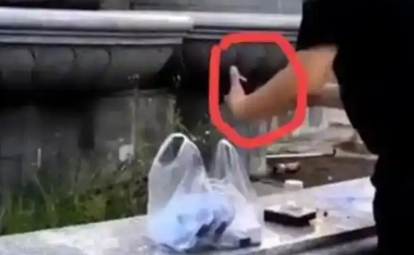 简直离谱！长春女子在公园放生蟑螂，警方这是投放病毒！