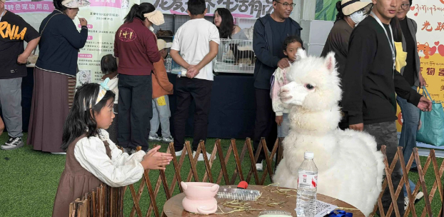 拉萨首届宠物展开幕，阿布索犬与高原宠物食品成焦点