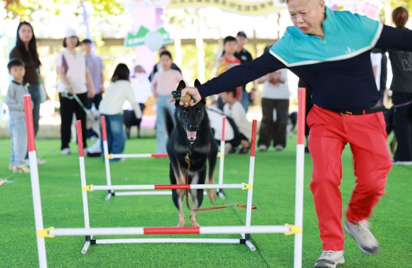 从化首届宠物友好生活嘉年华为期16天，解锁人宠同游新玩法