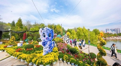 西宁野生动物园单日客流创新高