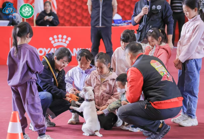 2025宠爱王国cku,宠菱王国2021,宠爱王国是cku吗