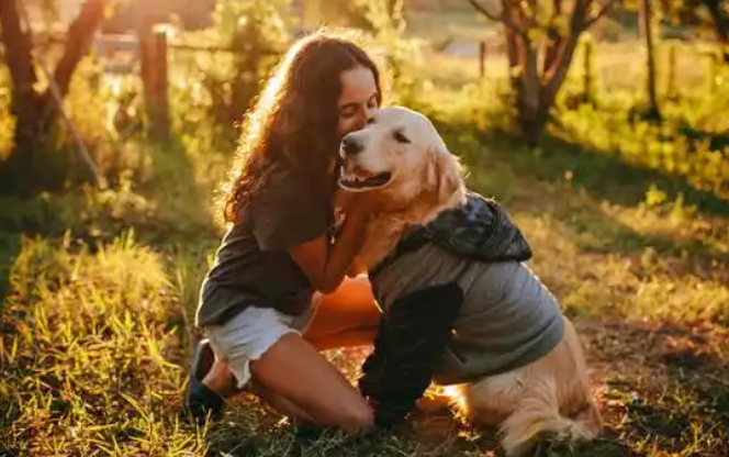 没错，它们带来的不仅是情绪价值！