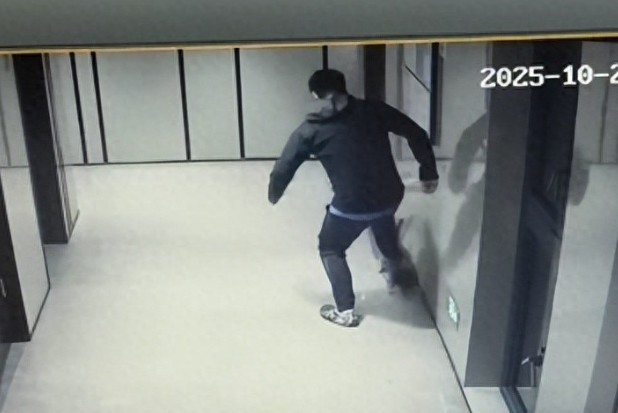 男子楼道内踩死流浪猫引业主担忧，物业：已被警方批评教育，他家孩子曾被猫扑倒