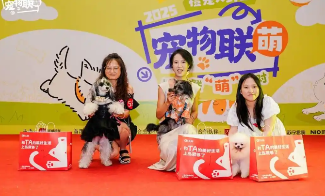 成都萌宠嘉年华：近200组家庭共塑宠界明星