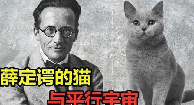 薛定谔的猫：既死又活的量子叠加态