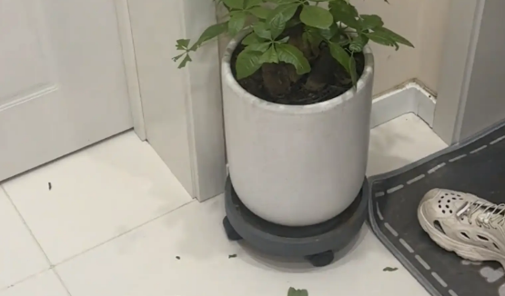 女子回到家，俩狗子一脸心虚的站洗手台上躲着。网友：直接打就行了