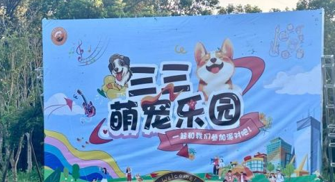 为什么宠物正在成为当代人的“生活搭子”？