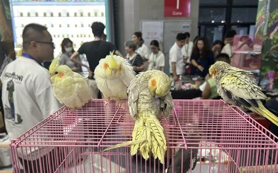 在亚宠展上看宠物经济新风向