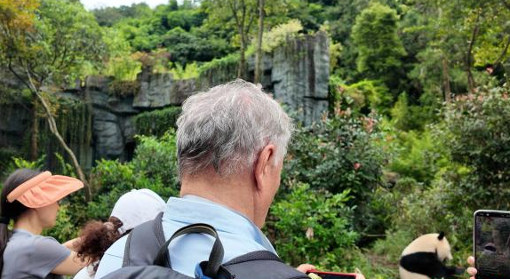 成都熊猫谷官网,成都熊猫谷在哪儿,成都熊猫谷门票多少