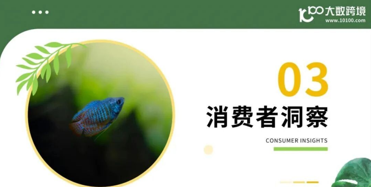 从消费人群到品牌，2025年小宠异宠用品市场浅析