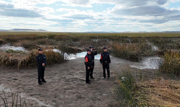 霍林郭勒市：候鸟翩跹 绘就生态新画卷