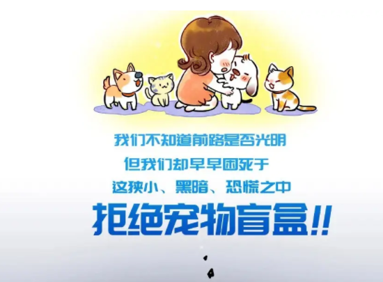 心碎！“宠物盲盒” 屡禁不止，那些被包裹的小生命该何去何从？