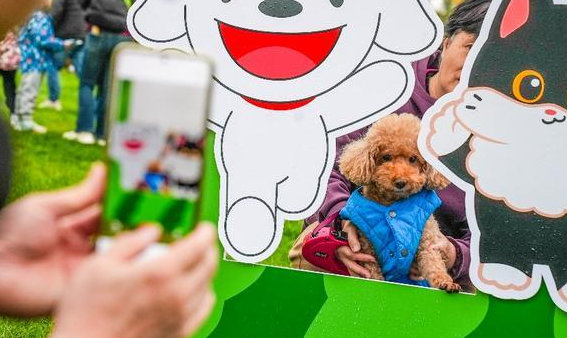 北京大兴庞各庄“西瓜小镇”主打“快乐休闲”，2025花宠季描绘产业融合新图景