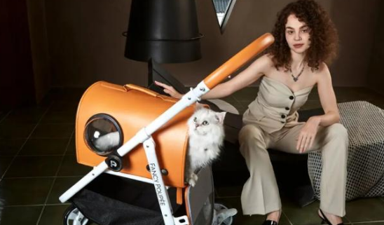 跨界者来了，宠物用品出海又添新战事！