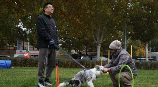 萌宠+花车，大兴区庞各庄“西瓜小镇”主打“快乐休闲”