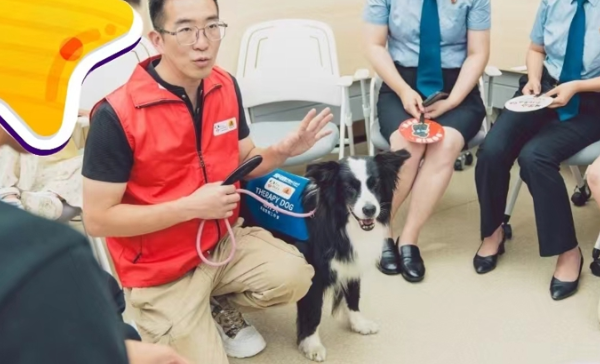 治疗犬打开自闭症儿童的心扉，助力儿童群体康复