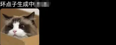 布偶躲进纸箱偷袭狸花。狸花：总有一种不祥的预感