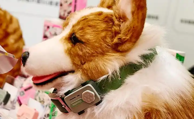 宠物智能手机引发行业革命，偏远郊外也能保证信号稳定