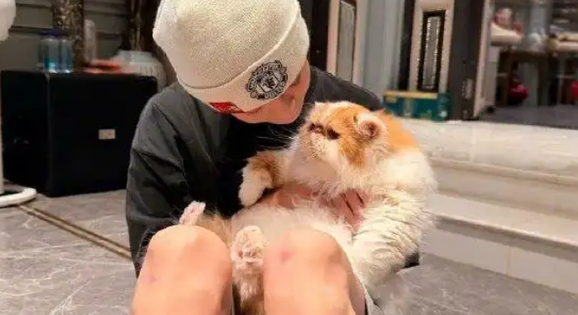 鹿晗“禁食令”引热议，科学养宠与粉丝互动尽显温情