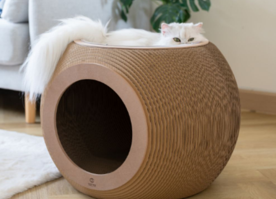 2025泰国曼谷宠物展：行业合作与创新的盛会