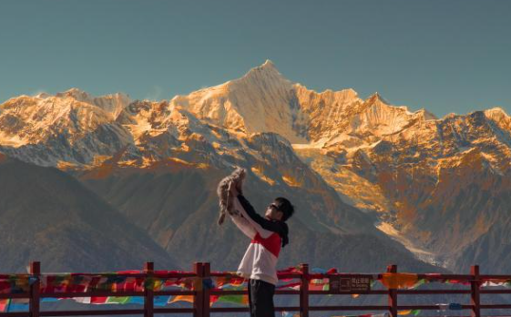 宠物友好型场景花式 “上新” 携宠出游成新风潮