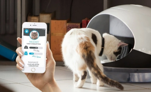 宠智灵科技助力宠物智能硬件设备厂商开辟新增长点