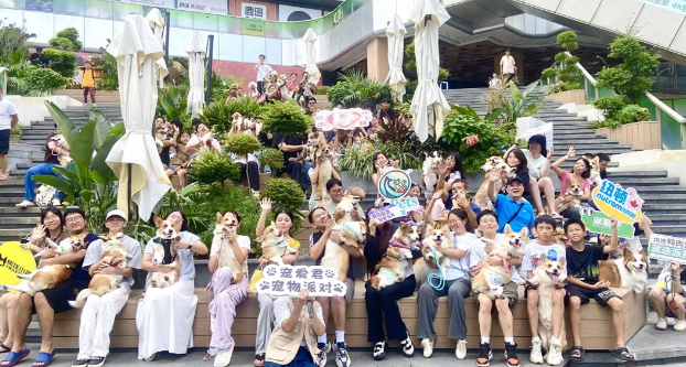 百汪大集结！南海“宠物友好商圈”挂牌，萌宠运动会热闹开趴