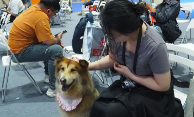 让宠物经济成为消费增长新动力