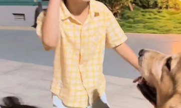 小男孩想摸狗子，结果却一把紧紧搂住狗子的脖子