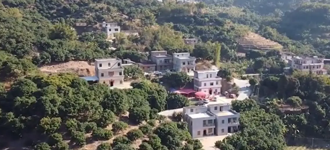 广东老太在山上捡了只小野猫养，养大后人懵了