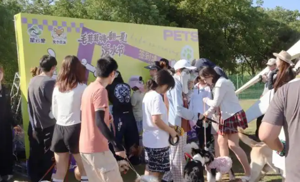 星云里·半城大山露营度假区今夏启幕宠物社交新体验